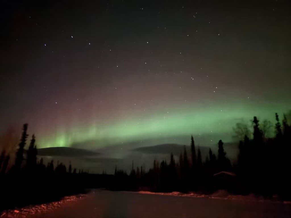Northern lights over a snowy forest, Arctic Circle, Alaska